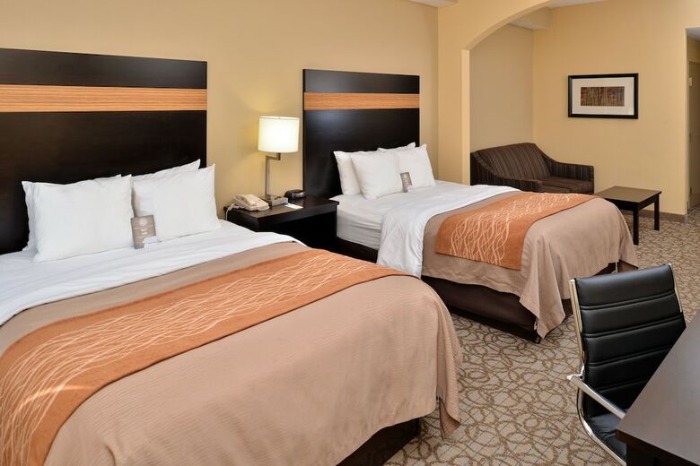 Hotel Comfort Inn & Suites At Stone Mountain