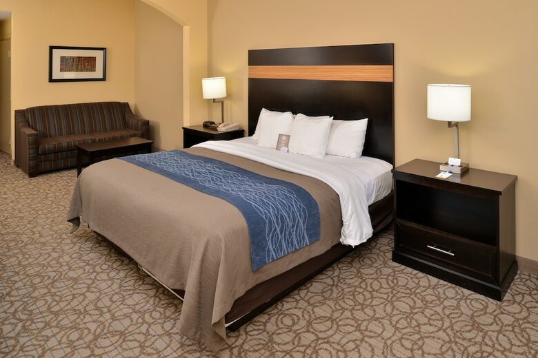 Hotel Comfort Inn & Suites At Stone Mountain