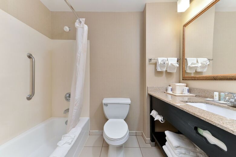 Hotel Comfort Inn & Suites At Stone Mountain