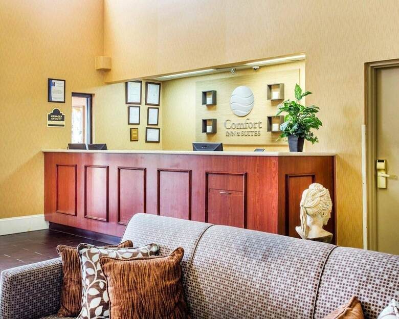 Hotel Comfort Inn & Suites At Stone Mountain