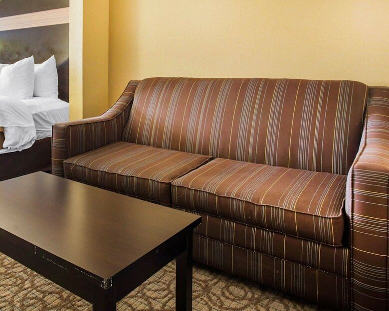 Hotel Comfort Inn & Suites At Stone Mountain