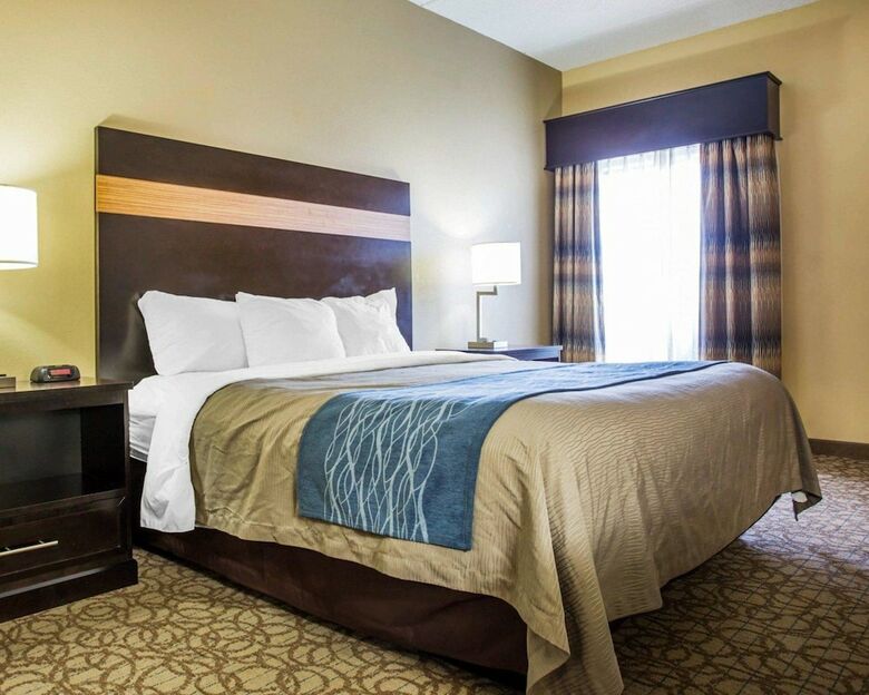 Hotel Comfort Inn & Suites At Stone Mountain