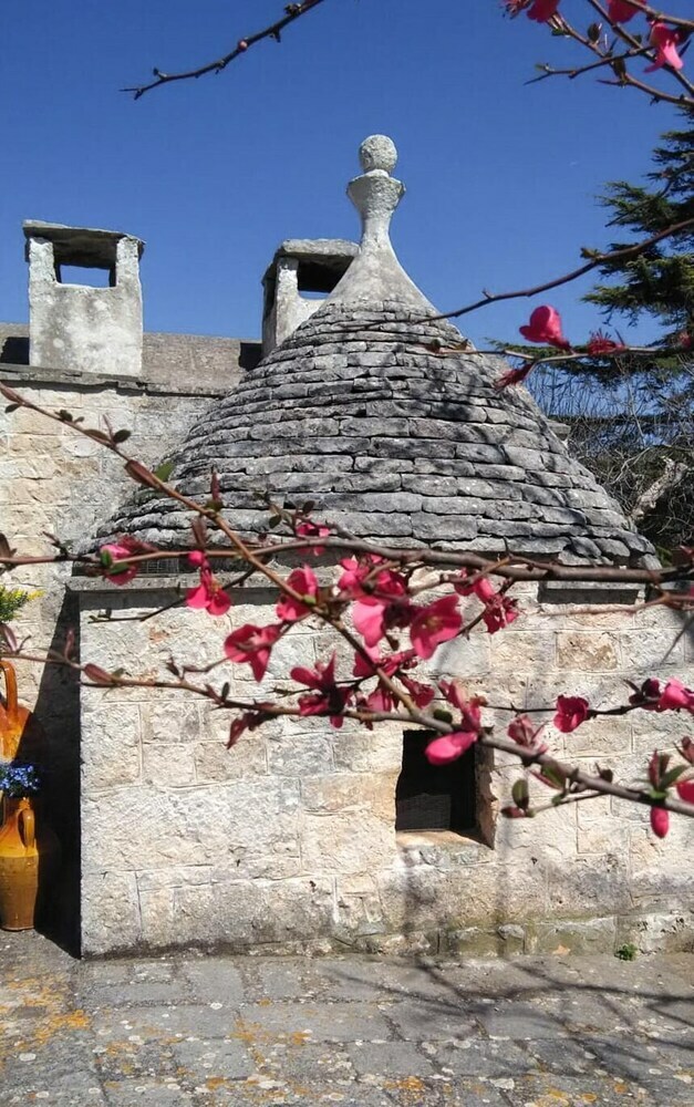 Bed & Breakfast Residenza Fenicia