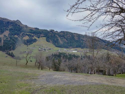 Chalet Hauser