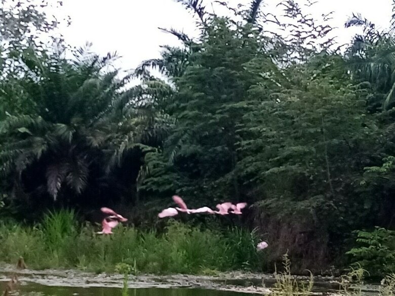 Cabana Hidden Valley Lodges