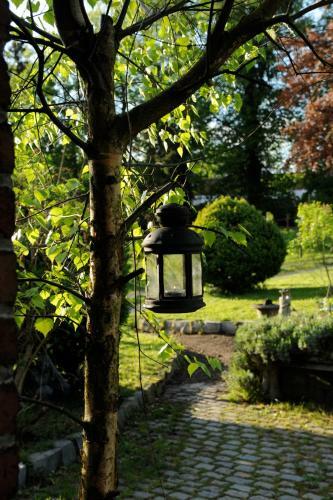 B&B Le Manoir D'ange