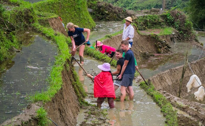 Hostal Zizi Homestay And Trekking - Hostel
