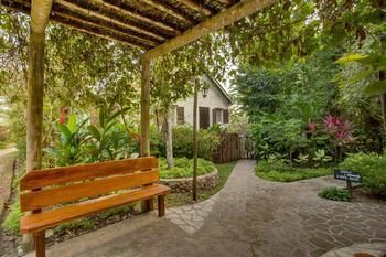 Maya Mountain Lodge & Tours