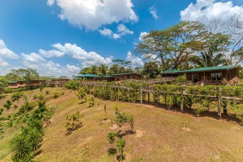 Lodge Dream Valley Jungle Resort