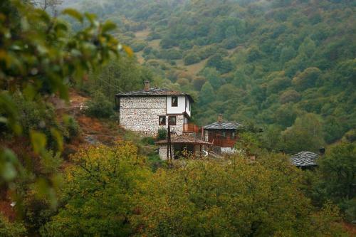 Hostal Complex Kosovo Houses