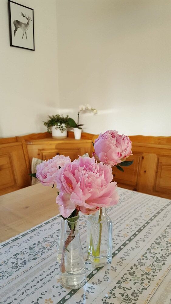 Apartamentos Sch�nes Ammertal