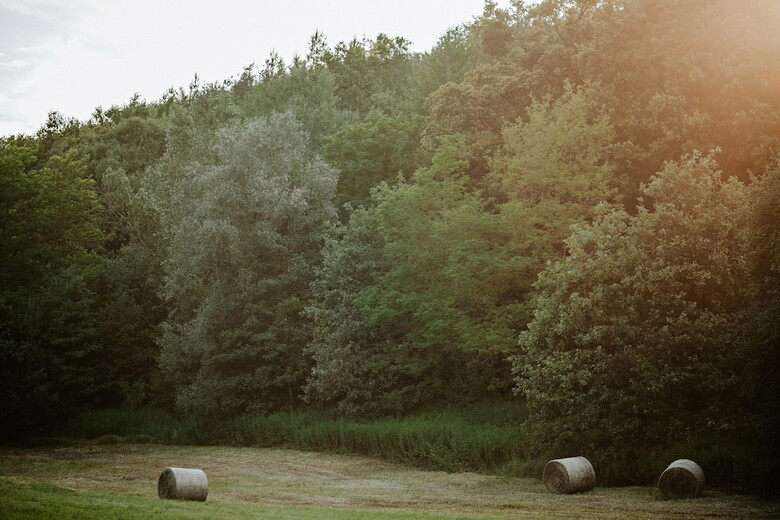 Bed & Breakfast Kosbor Panzi�