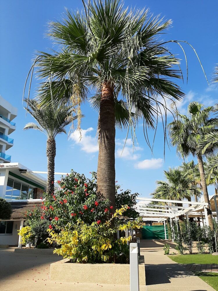 Vrissaki Beach Hotel