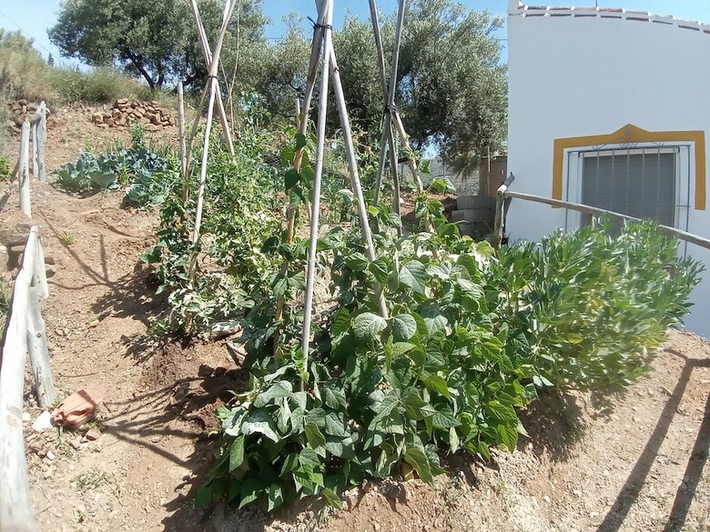Agroturismo Casa Rural Torre Del Manzano