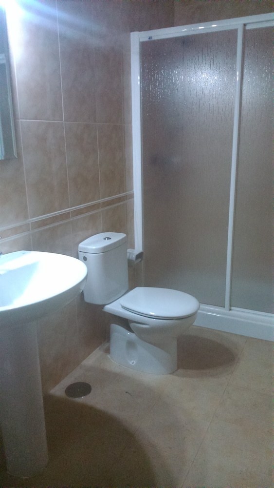 Apartamentos La Mina de Vi�on