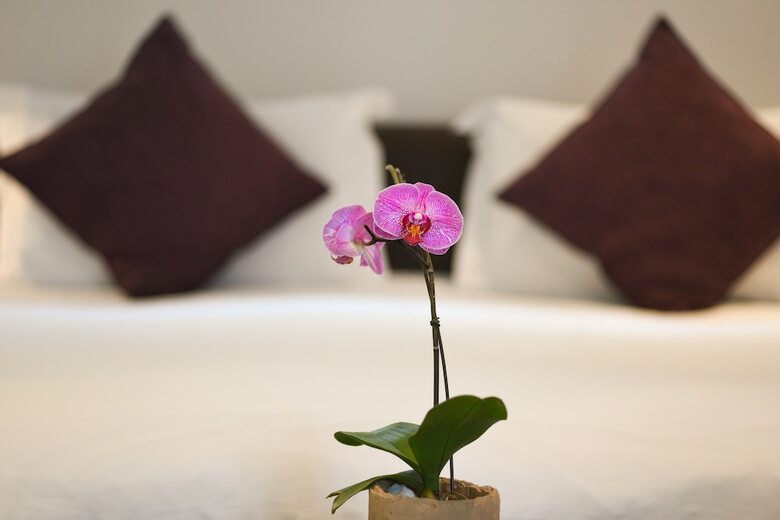 Apartamentos 51 On Camps Bay