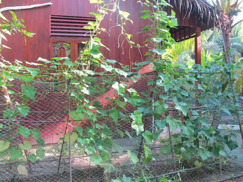 Hotel Ben Tre Farm Stay