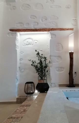 Aphrodite Luxury Apartment