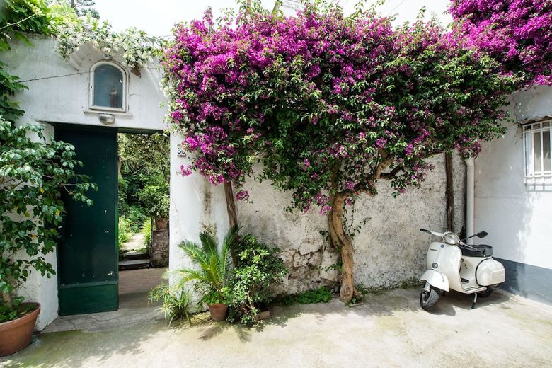 Apartamento Il Giardino Di Aranci E Limoni
