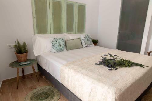 Pension Hostal Boutique Olvido 22 - Adults Only
