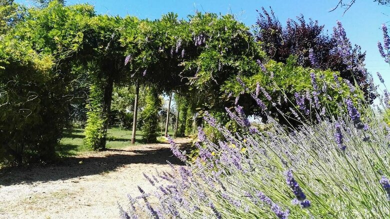 Bed & Breakfast Tenuta Le Pantanelle