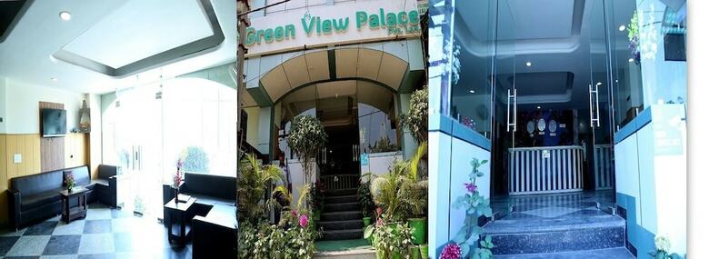 Hotel Green View Palace