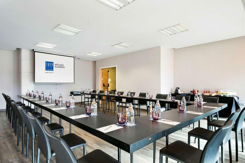 TRYP Malaga Alameda Hotel
