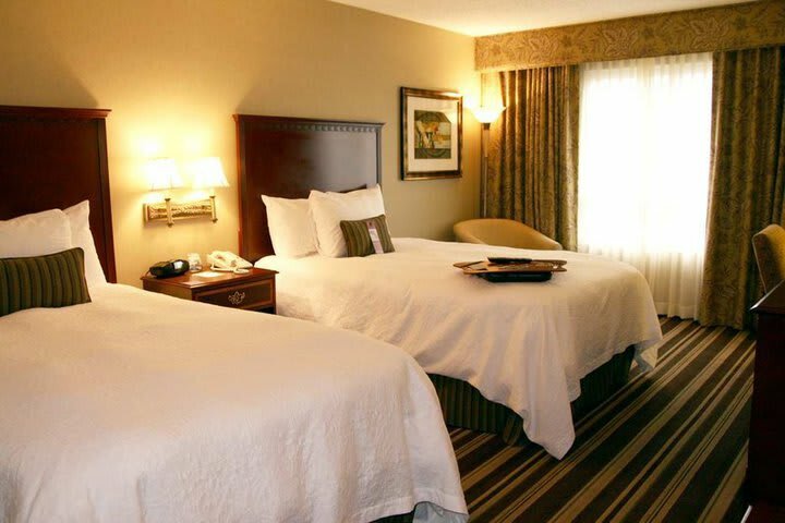 Hotel Hampton Inn & Suites At Beale Street (.)