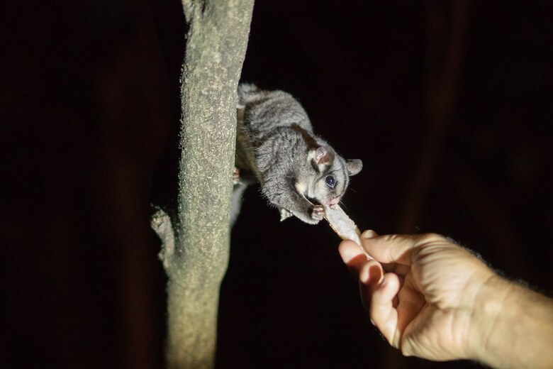 Kalimna Woods Cottages