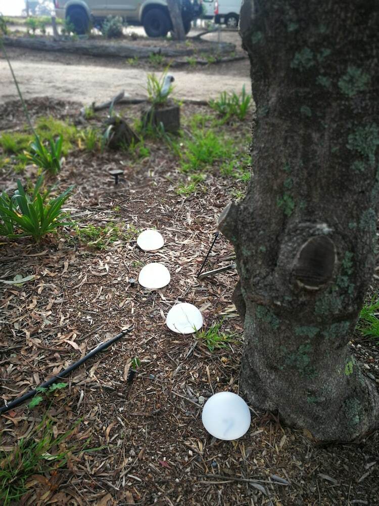 Kalimna Woods Cottages