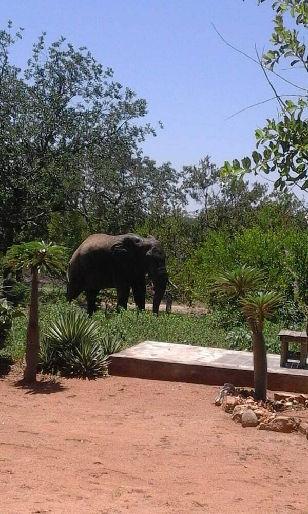 Thula Private Lodge