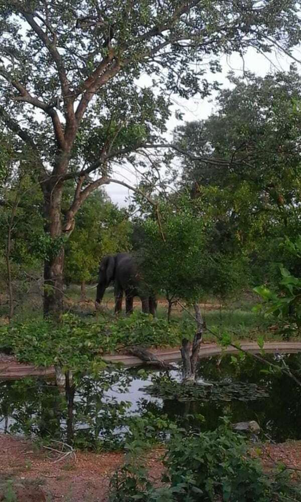 Thula Private Lodge