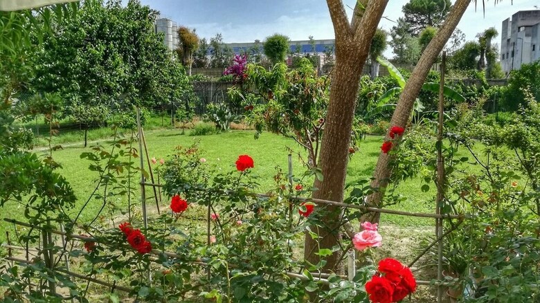 Bed & Breakfast Tifeo