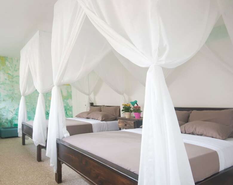 Hostal Lost In Costa Rica