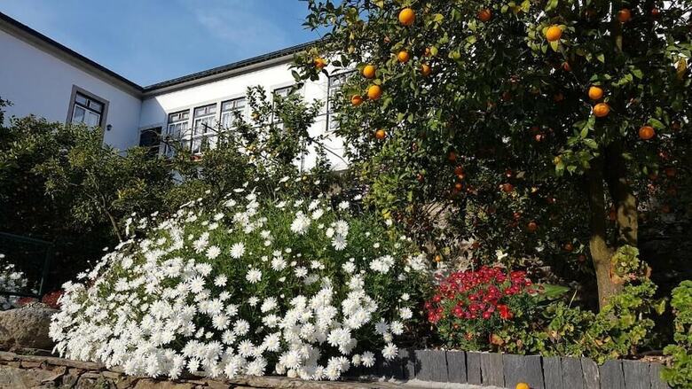 Bed & Breakfast Quinta Da Travessa