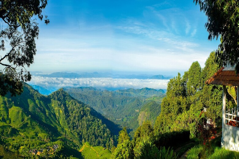 Hotel Blackberry Hills Munnar - Nature Resort & Spa