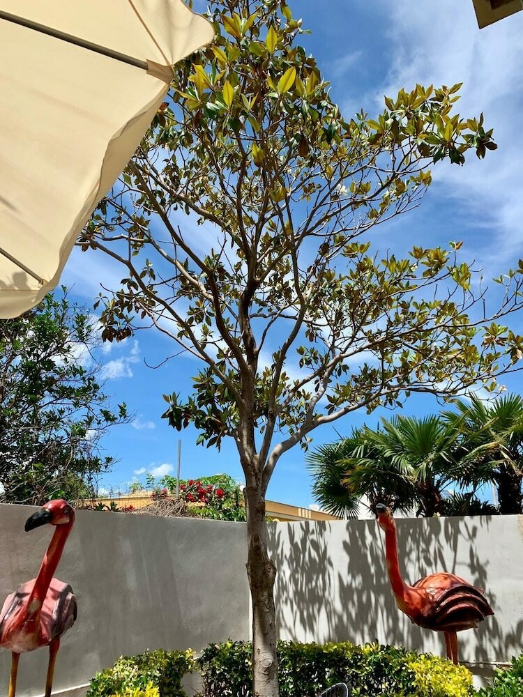 Apartamento Pantanello Blu Sea
