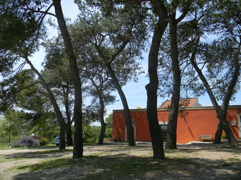 Dimora Del Falconiere B&B