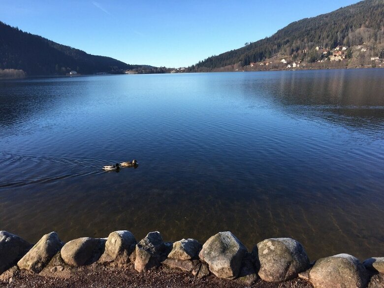 Apartamento Appartement Chalet Les Marmots