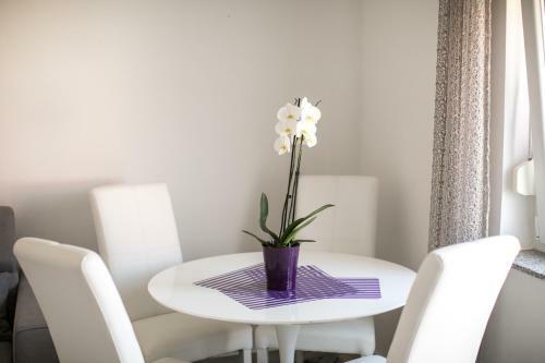 Apartments Renjak