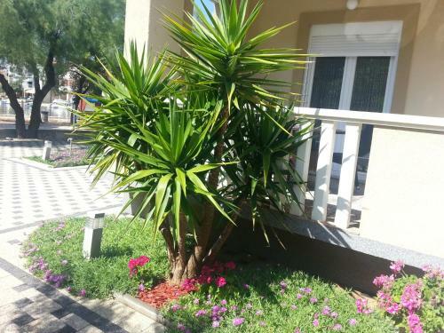 Design Apartments Dijan