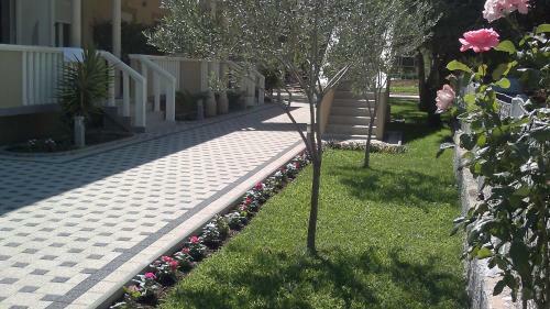 Design Apartments Dijan