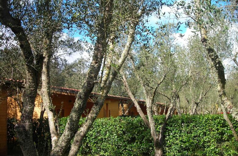 Agroturismo Lu Podere