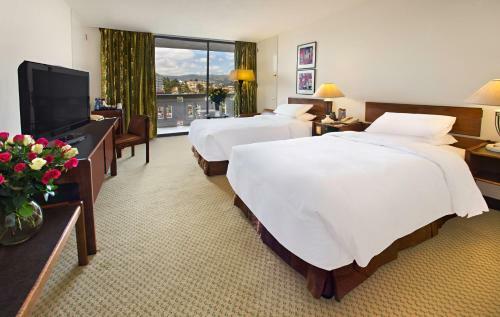 Hotel Hilton Addis Ababa