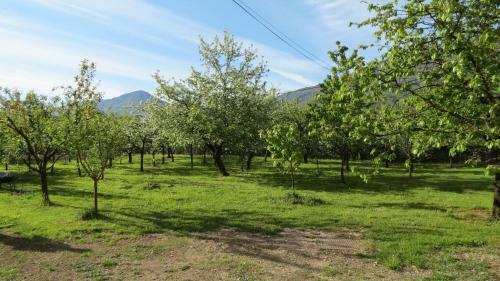Apartments Masera