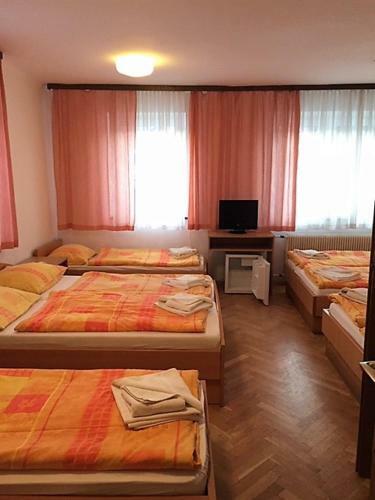 Youth Hostel Nika