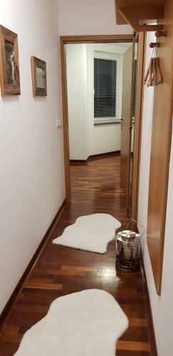 Apartments Vijolica