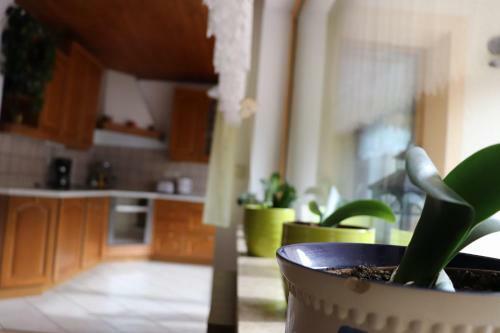 Apartment Plazar