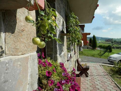 Hostal Penzion Vikt�ria