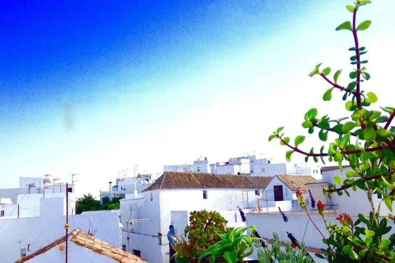 Apartamentos Eva Recommends Vejer Lomo En Manteca